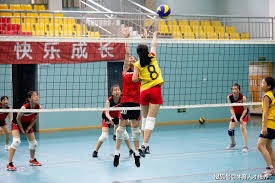 乌龙