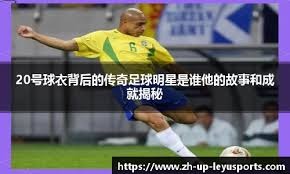 的无对