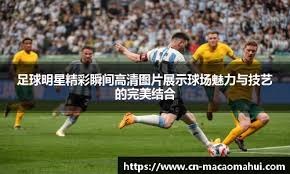 阅读欺
